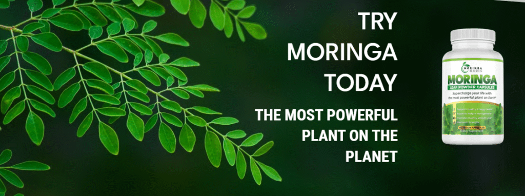 Moringa powder in a spoon, ready to mix with water or smoothies for daily energy boost